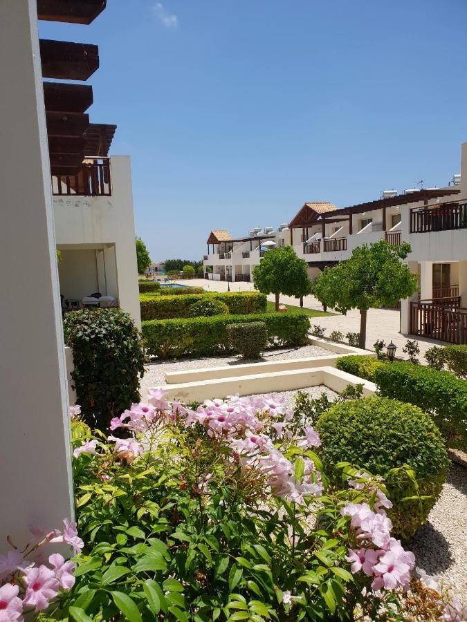 Ground Floor One Bedroom Apartment, Vanessa Complex Pegeia Exterior foto